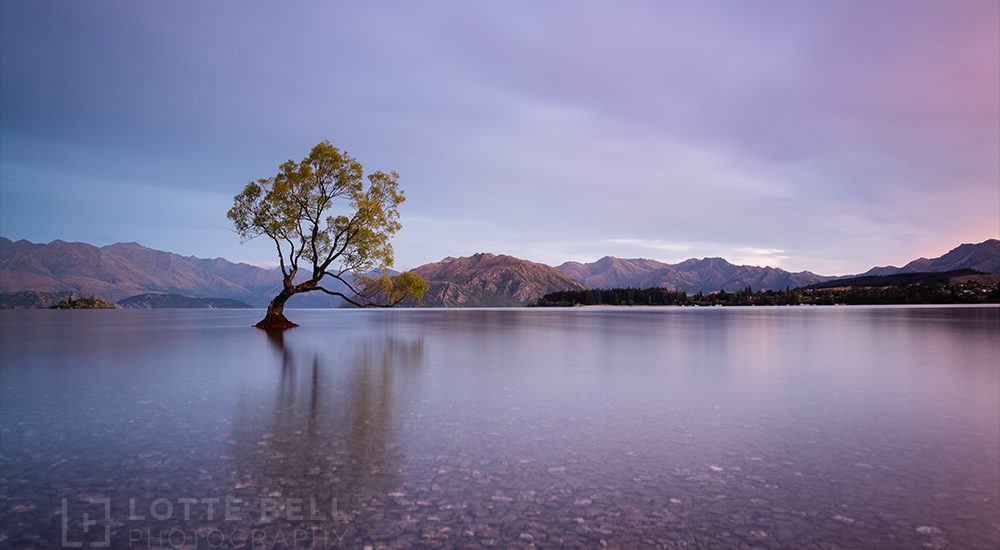 Lake Wanaka sunrise