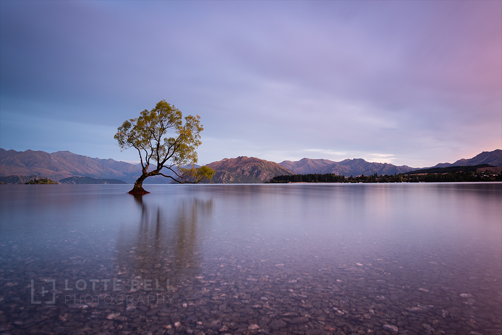 Lake Wanaka sunrise