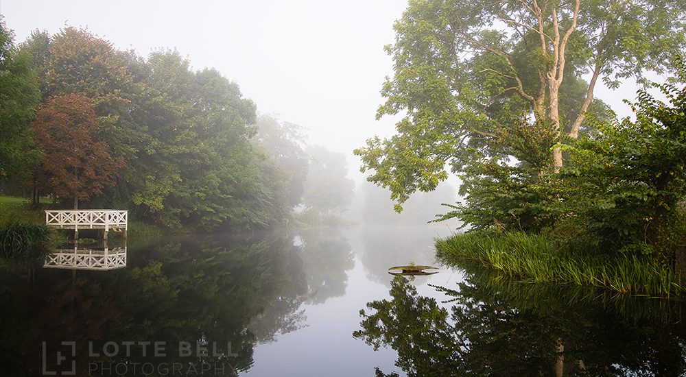 Morning fog