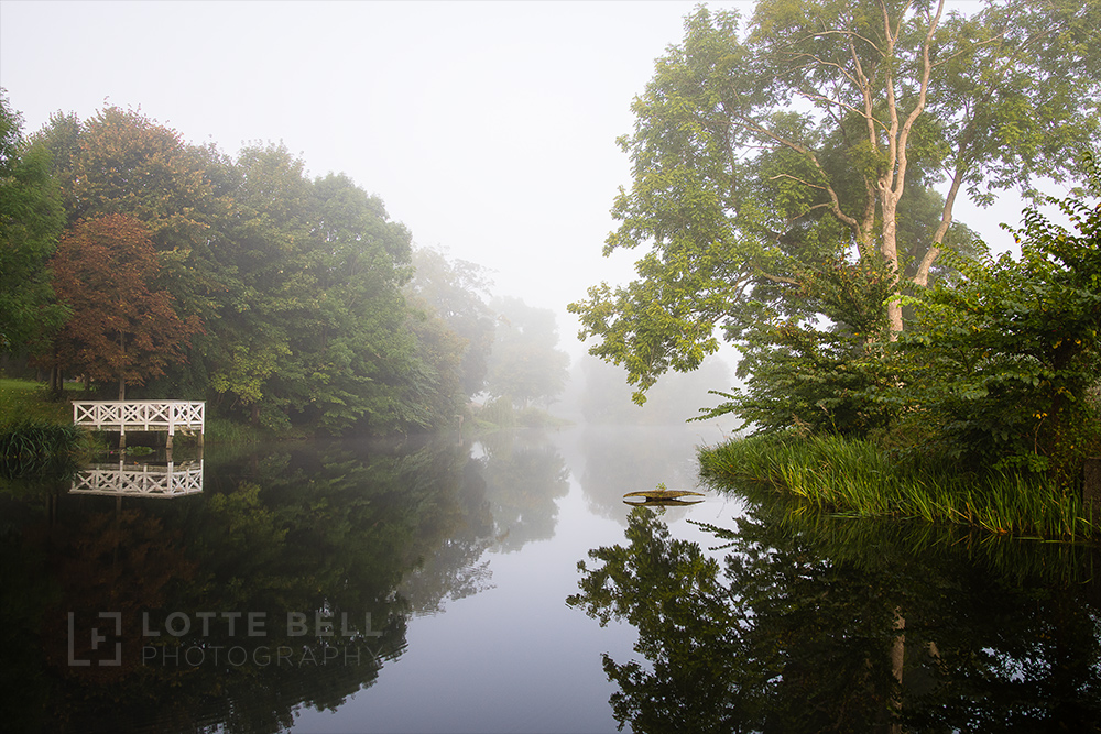 Morning fog