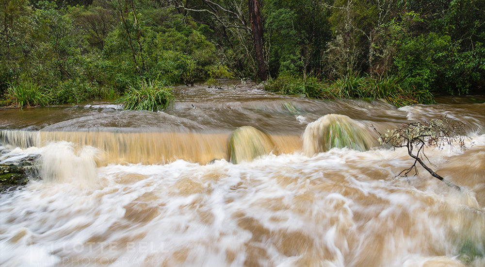 Torrent to the waterfall