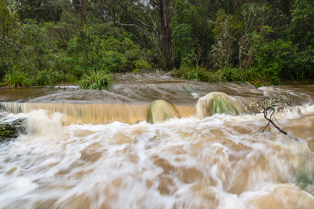 Torrent to the waterfall